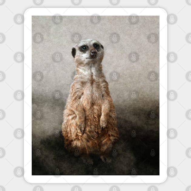 Meerkat in the Mist Magnet by Off the Page